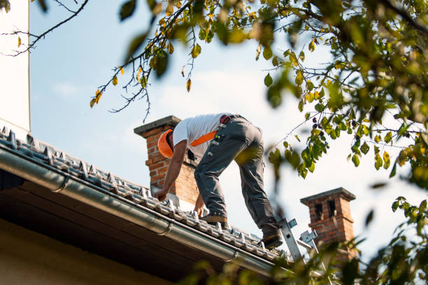 Best Flat Roof Repair Services  in Lucasville, OH