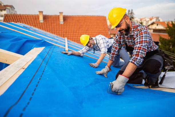 Roof Gutter Cleaning in Lucasville, OH