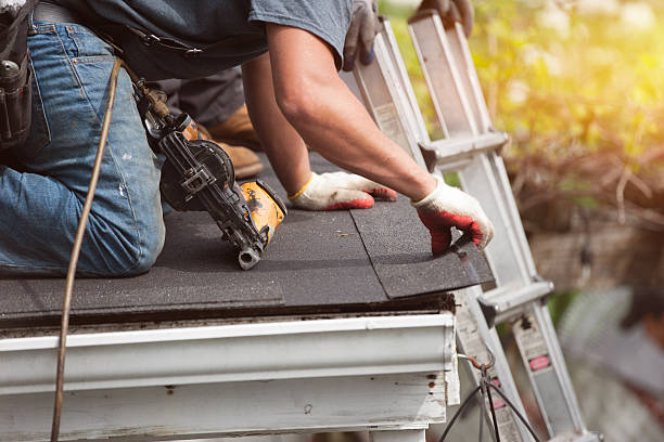 Best Roof Maintenance Services  in Lucasville, OH